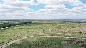 標(biāo)題：托縣綠博園
瀏覽次數(shù)：2538
發(fā)表時(shí)間：2019-10-31