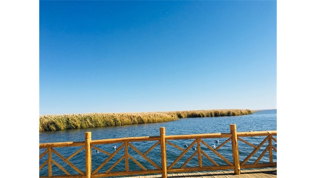 標(biāo)題：額濟(jì)納胡楊林景區(qū)
瀏覽次數(shù)：2010
發(fā)表時間：2020-10-16