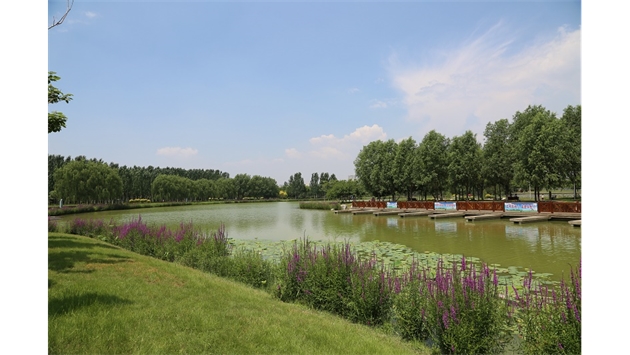 標(biāo)題：包頭市民公園
瀏覽次數(shù)：2080
發(fā)表時間：2020-10-16