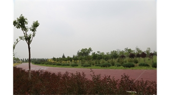 標題：大青山南坡生態(tài)修復
瀏覽次數(shù)：2458
發(fā)表時間：2020-10-16