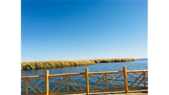 標(biāo)題：額濟(jì)納胡楊林景區(qū)
瀏覽次數(shù)：1898
發(fā)表時(shí)間：2020-10-16