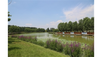 標(biāo)題：包頭市民公園
瀏覽次數(shù)：2078
發(fā)表時(shí)間：2020-10-16