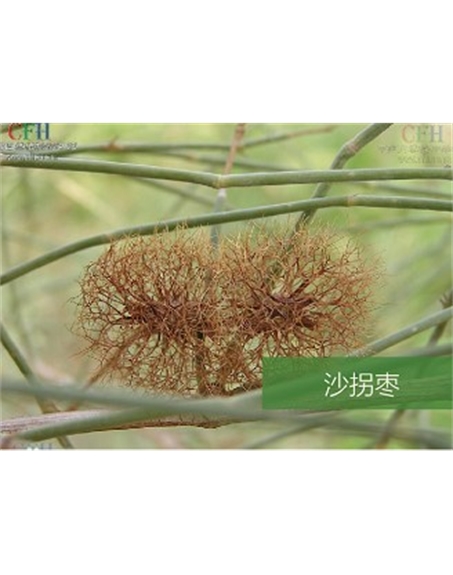 標(biāo)題：名貴樹種
瀏覽次數(shù)：1969
發(fā)表時(shí)間：2020-10-17