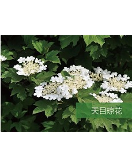 標(biāo)題:?jiǎn)坦嗄?瀏覽次數(shù):1940
發(fā)表時(shí)間:2020-10-17