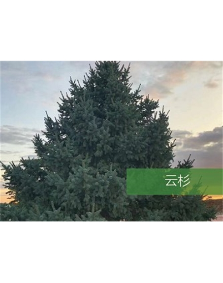 標(biāo)題:?jiǎn)坦嗄?瀏覽次數(shù):2596
發(fā)表時(shí)間:2020-10-17