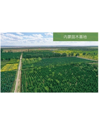 標題：苗木基地
瀏覽次數(shù)：2306
發(fā)表時間：2020-10-17