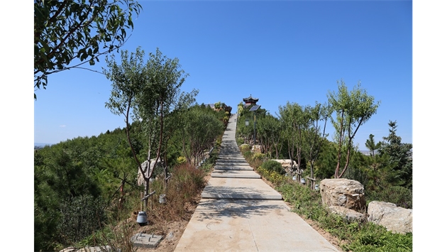 標題：張家口太子山山體修復
瀏覽次數(shù)：19046
發(fā)表時間：2020-11-12