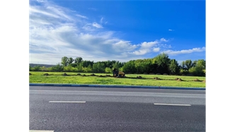 標題：伊利現(xiàn)代智慧健康谷道路綠化建設(shè)項目
瀏覽次數(shù)：2181
發(fā)表時間：2023-11-07